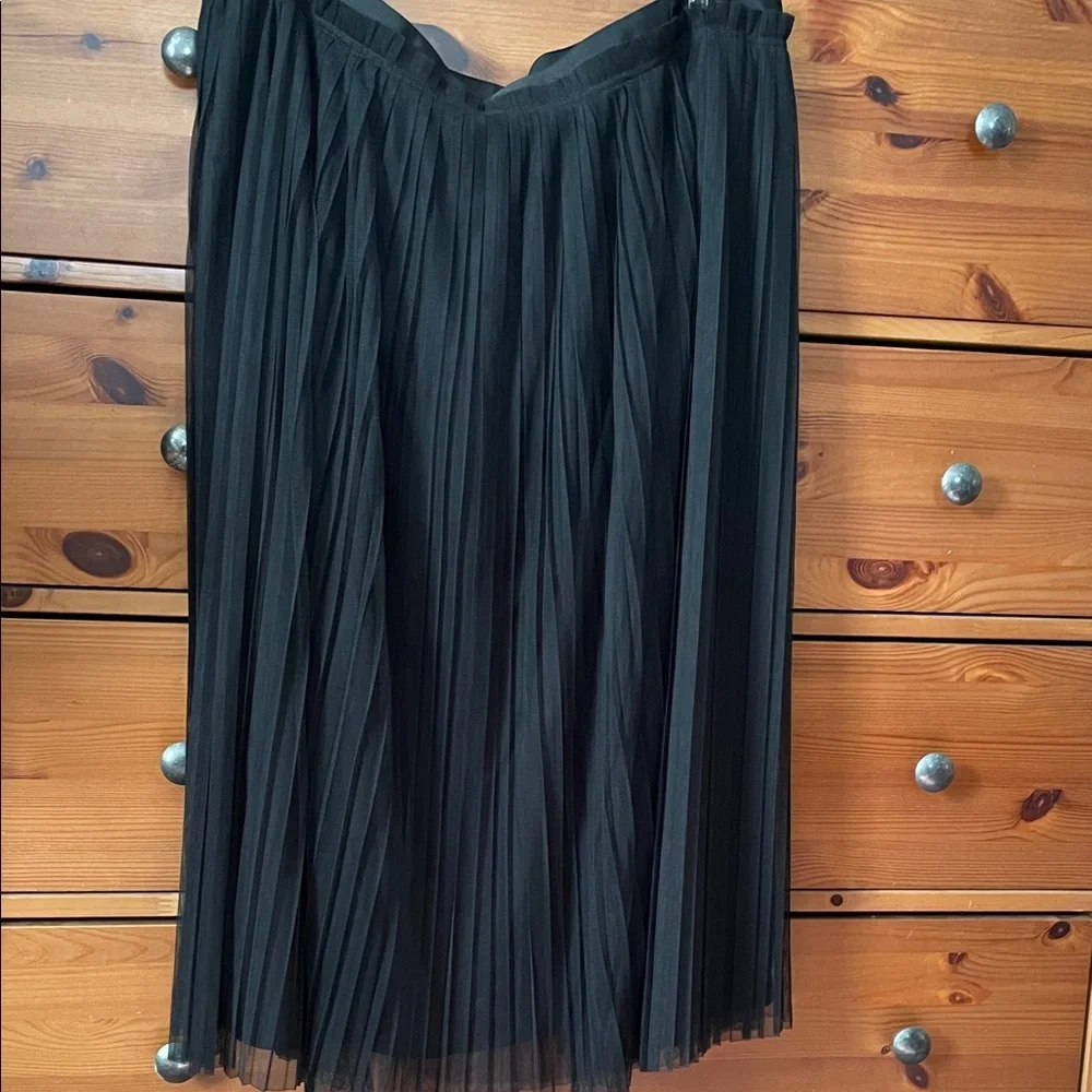 BANANA REPUBLIC Pleated Thule skirt